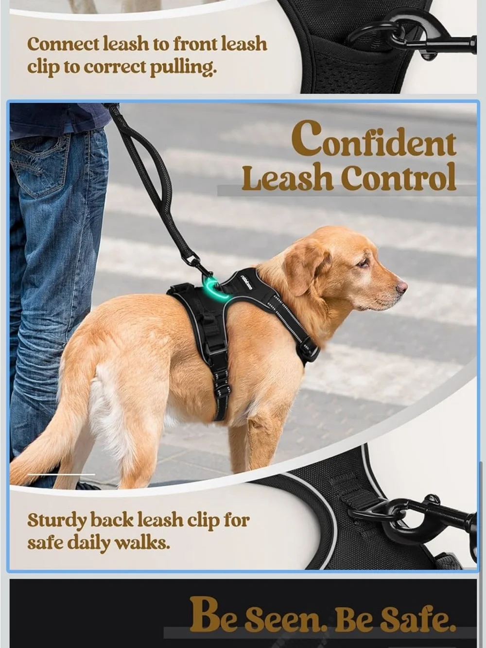 rabbitgoo Dog Harness No Pull with 2 Leash Clips, Adjustable Soft Padded Medium